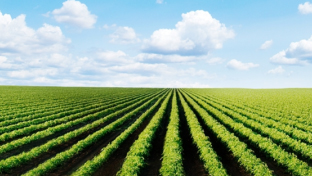 Radar de Tendências no Agronegócio